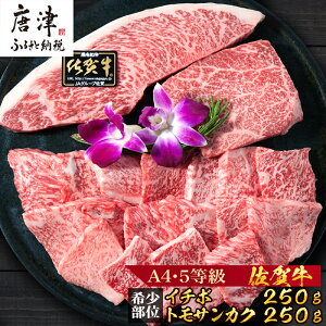 yӂ邳Ɣ[Łzꋍ 󏭕ʃC`{250gƃgTJN250g̏ēZbg(v500g) a  J Mtgp Ƒ ē Zbgu2025N ߘa7Nv