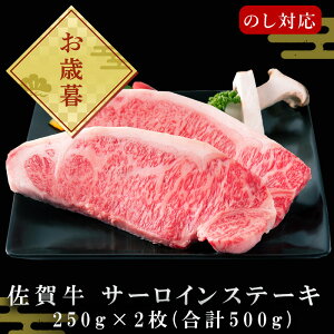 yӂ邳Ɣ[Łzꋍ T[CXe[L250g×2(v500g) uzIׂIva J Mtgp 2lO A5~A4 ~苍u2025N ߘa7NvuΕvOseibo