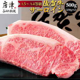 【ふるさと納税】佐賀牛 サーロインステーキ250g×2枚(合計500g) 「配送月・ギフトを選べる！」和牛 ご褒美に ギフト用 2人前 A5~A4等級 霜降り牛肉「2024年 令和6年」