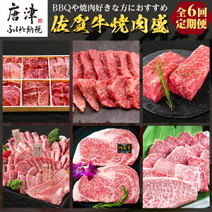 【ふるさと納税】「定期便全6回」 佐賀牛 BBQや焼肉好きな方におすすめ 寄附翌月から発送 (合計3.46kg)A5〜A4等級 ギフト 贈り物 アウトドア 「2025年 令和7年」