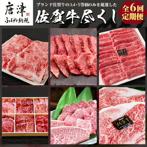 yӂ邳Ɣ[Łzu֑S6v ꋍÂ 񕍗甭 (v2.7kg) A5`A4 Mtg 蕨 u2025N ߘa7Nv