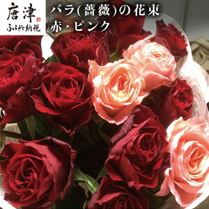 yӂ邳Ɣ[Łzo(KN)̉ԑ ԁEsNn15{  v[g 蕨 u2025N ߘa7Nv