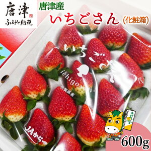 �y�ӂ邳�Ɣ[�Łz�w��s�\��x�y1�����{��菇�������z���ꌧ���Îs�u����������v���ϔ� 600g ������ � �C�`�S ���ϔ� �M�t�g