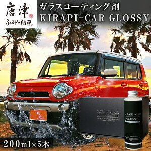 yӂ邳Ɣ[ŁzKXR[eBO ԗp (50mlx2E200ml)uIׂIvKIRAPI-CAR(LsJ) GLOSSY J[R[eBO  ԗpi ԃObY  ԁu2025N ߘa7Nv