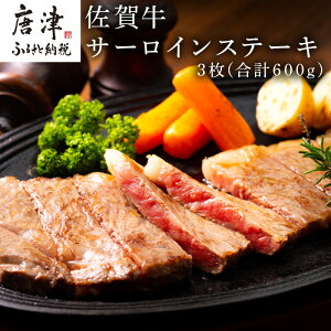 yӂ邳Ɣ[ŁzꋍT[CXe[L 3(v600g)   ē BBQ o[xL[ AEghAu2025N ߘa7Nv