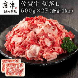 yӂ邳Ɣ[Łzꋍؗ 500g×2P(v1kg) Ղ    ؂藎  u J[u2025N ߘa7Nv