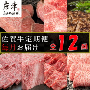 yӂ邳Ɣ[Łzy֑S12zꋍցuT[C(2)E[Xgr[t(3)E[XEno[O(2)E[XubNEJr([X)EJr()EԂ(Ef)