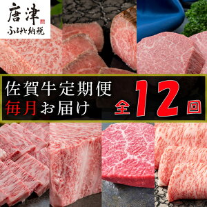 yӂ邳Ɣ[Łzy֑S12zꋍցu[XubNEqXe[L(3)E[Xgr[t(3)EĂp([XjEԂԗp([X)EJrē([X)ET[C
