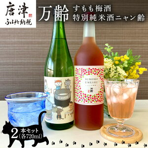 yӂ邳Ɣ[Łz~ 720ml 1{ ʏĎj720ml 1{ ÎYgpʓ Y ɐlC LD Zbg u2025N ߘa7Nv