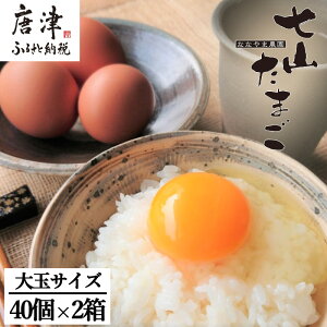 【ふるさと納税】放し飼い!七山たまご 40個箱×2(合計80個) (大玉) 玉子 生卵 鶏卵 佐賀県唐津産「2025年 令和7年」