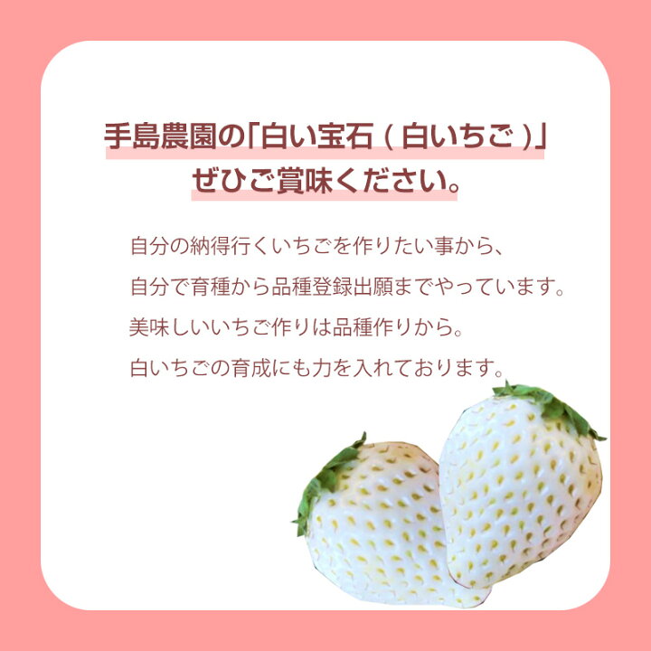 楽天市場】【ふるさと納税】『予約受付』白い宝石 白いちご 450g いちご 苺 贈答 【令和5年2月から発送】 「2022年 令和4年」 : 佐賀県唐津市 楽天市場】【ふるさと納税】『予約受付』白い宝石 白いちご 450g いちご 苺 贈答 【令和5年2月から発送】 「2022年 令和4年」 : 佐賀県唐津市