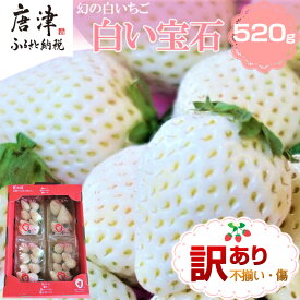 【ふるさと納税】『先行予約』【令和8年2月上旬から4月下旬までにお届け】訳あり 白い宝石 白いちご 130g×4P(合計520g) 大小不揃い いちご イチゴ 苺 フルーツ 果物 希少