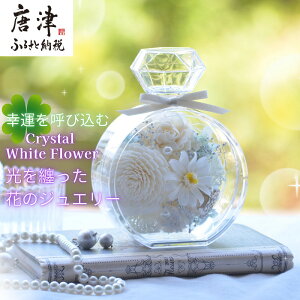 yӂ邳Ɣ[ŁzK^ĂэށwNX^zCgt[xANP[X vU[uht[\t[̃fR[V 蕨 Mtgu2025N ߘa7Nv