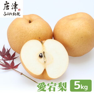 yӂ邳Ɣ[Łz󂠂 H׍  {̗5kg@@ʕ t[c 