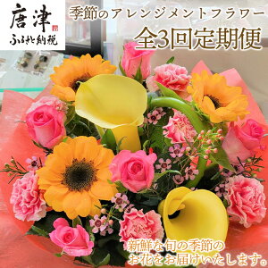 yӂ邳Ɣ[ŁzuS3ցvG߂̃AWgt[t̗3񂨓͂ 蕨₲  a v[g Mtg ܂u2025N ߘa7Nv
