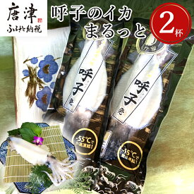 【ふるさと納税】呼子のイカまるっと2杯 瞬間冷凍の旨さを呼子発でお届け 海鮮 スルメイカ 新鮮松いか 「2025年 令和7年」
