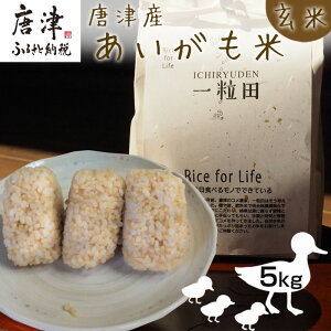 yӂ邳Ɣ[ŁzÎY  5kg () ꗱc _@ _ w엿 R  ͂