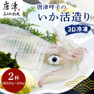 【ふるさと納税】唐津呼子産いか活造り (1杯・2杯) 「杯数/グラム数を選べる!」 急速冷凍 新鮮そのまま食卓へ!イカ 刺身 簡単 ギフト