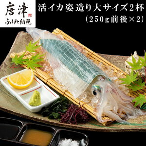 �y�ӂ邳�Ɣ[�Łz���C�J�p�����T�C�Y 2�t(250g�O��×2)�Z�b�g�I�N�x���Q �J�����ďu�ԗⓀ ���������� �h�g �ȒP �Ďq �M�t�g