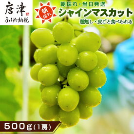 【ふるさと納税】『先行予約』【令和8年9月上旬より順次発送】シャインマスカット「グラム数を選べる！」(500g〜3Kg) 葡萄 ぶどう 果物 フルーツ スイーツ
