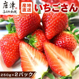 【ふるさと納税】『先行予約』【令和8年3月から5月までに順次発送】唐津産 いちごさん 「パック数を選べる！」1パック約250g(2パック〜12パック) 濃厚いちご 苺 イチゴ 果物 フルーツ