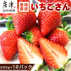 yӂ邳Ɣ[Łzws\xyߘa8N35܂łɏzÎY  upbNIׂIv1pbN250g(2pbN`12pbN) Z  C`S ʕ t[c