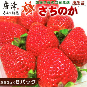 yӂ邳Ɣ[Łzws\xyߘa8N2菇zZ ̂upbNIׂIv1pbN250g(2pbN`12pbN) Z  C`S ʕ t[c r^~