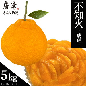 yӂ邳Ɣ[Łzws\xyߘa8N2{菇zÎY sm() 5kg(16`20) fR| łۂ ~J ݂ k t[c ʕ