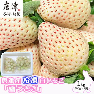 yӂ邳Ɣ[ŁzÎY ⓀuႤv500g×2(v1kg) ^ Hip  C`S  ʕ t[c