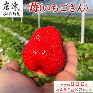 yӂ邳Ɣ[Łzws\xy12{菇zꌧÎY450g×2pbN(v900g)  C`S ʕ