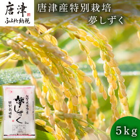 【ふるさと納税】米の食味ランキング3年連続「特A」評価！ 唐津産特別栽培 夢しずく 5kg