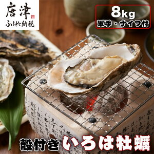 yӂ邳Ɣ[Łzws\xy12{菇zÎY kt͉y 8kg(REiCtt)Ԍ Yn kt y JL kty ꌧ CN BBQ Mp  