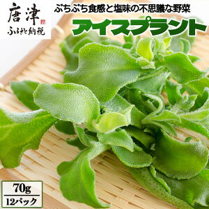 yӂ邳Ɣ[Łzws\xy11{菇zACXvg(70g×12pbN)ՂՂH   VՂ t T_ X[v Ԃ uߕ Ђ