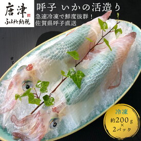 楽天市場 活 イカの通販