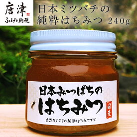 【ふるさと納税】日本ミツバチの純粋はちみつ 240g 瓶 自然 蜜「2024年 令和6年」