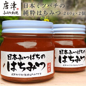 【ふるさと納税】日本ミツバチの純粋はちみつ 240g×2個 (合計480g) 瓶 自然 蜜「2024年 令和6年」