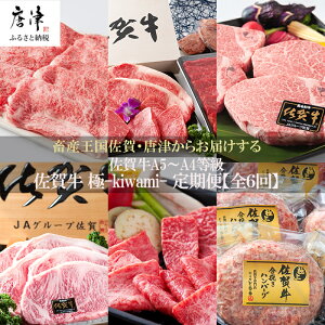 yӂ邳Ɣ[Łzu֑S6v ꋍ -kiwami- 񕍗甭 A5`A4 Mtg 蕨 u2025N ߘa7Nv