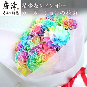 生花 レインボーカーネーションの人気商品 通販 価格比較 価格 Com 生花 レインボーカーネーションの人気商品 通販 価格比較 価格 Com
