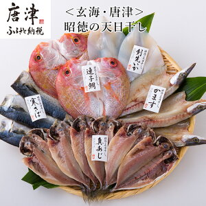 yӂ邳Ɣ[Łz̓V 160g~90g S16(^J60g×6 ^ΕАg90g×3 ܂J80g×3 AqJ180g×2 悢J70g×2)  Mtgu2025N ߘa7Nv