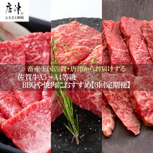 yӂ邳Ɣ[Łzu֑S3v ꋍ BBQēDȕɂ 񕍗甭 6퐷360g ubN800g q300g (v1.46kg) A5`A4 Mtg 蕨 AEghA u2025N ߘa7N
