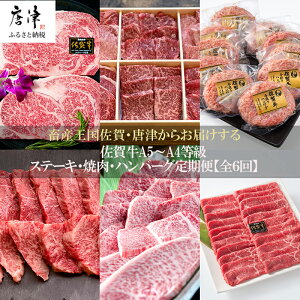【ふるさと納税】「定期便全6回」 佐賀牛 ステーキ・焼肉・ハンバーグ 寄附翌月から発送 (合計3.96kg) A5〜A4等級 ギフト 贈り物 「2025年 令和7年」