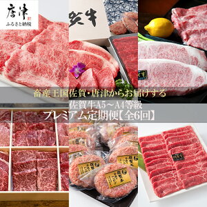 yӂ邳Ɣ[Łzu֑S6v ꋍ v~A 񕍗甭 A5`A4 Mtg 蕨 u2025N ߘa7Nv