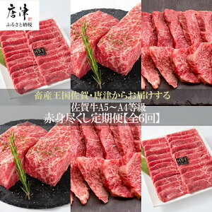 yӂ邳Ɣ[Łzu֑S6v ꋍ ԐgÂ 񕍗甭 (v3kg) A5`A4 Mtg 蕨 u2025N ߘa7Nv