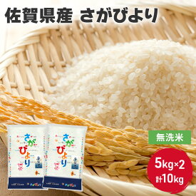 【ふるさと納税】無洗米 10kg 佐賀県産 さがびより 5kg×2 国産米 精米 ご飯 白飯 佐賀県米 米 コメ こめ　【鳥栖市】　お届け：2024年4月上旬～10月中旬まで