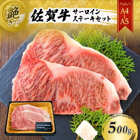 【ふるさと納税】佐賀牛 艶さし！【A4～A5】佐賀牛サーロイン ステーキ セット 500g（250gx2枚） 肉 お肉 牛肉 和牛 牛 ※配送不可：離島　【鳥栖市】