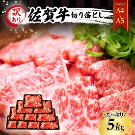 【ふるさと納税】訳あり！ 佐賀牛 【A4～A5】佐賀牛切り落とし 5kg(500gx10p） 肉 お肉 牛肉 和牛 牛 ※配送不可：離島