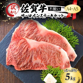 【ふるさと納税】訳あり！ 佐賀牛 【A4～A5】佐賀牛サーロイン ステーキ セット 5kg（250g 2枚入りx10p） 肉 お肉 牛肉 和牛 牛 ※配送不可：離島　【鳥栖市】