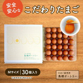 【ふるさと納税】たまご 30個入り Mサイズ ※破損保証5個含む 卵 鶏卵 タマゴ ※配送不可:離島　【鳥栖市】