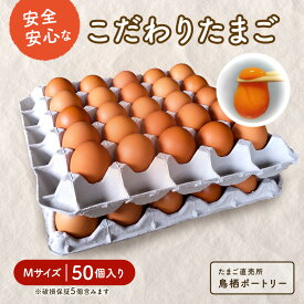 【ふるさと納税】たまご 50個入り Mサイズ ※破損保証5個含む 卵 鶏卵 タマゴ ※配送不可:離島