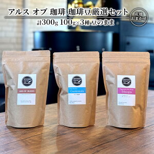 yӂ邳Ɣ[Łz蓤 I Zbg 100g×3 ̂܂ R[q[ 